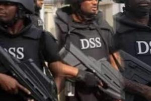 DSS_750x499