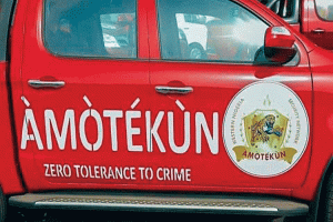 amotekun_750x499