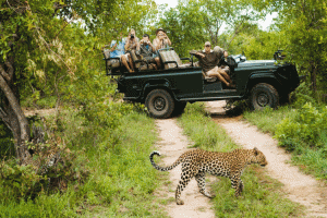 Tourism_750x499