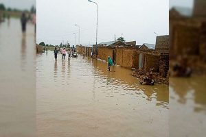 flood-1_750x499