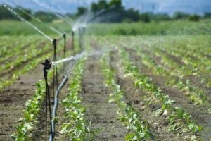 Irrigation-farming-2_750x499