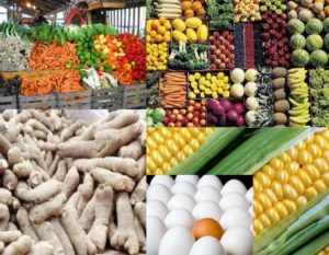 farm-produce (2)