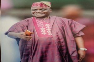 Bisi PDP