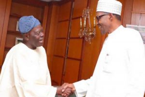 Buhari-Bisi-Akande3_750x499