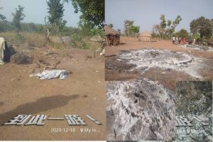 Boko Haram (3)