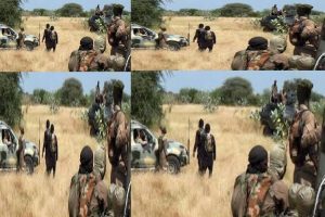 Boko Haram Dikwa
