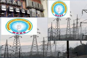 NERC-Estimated billing