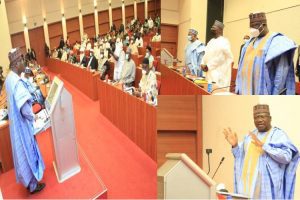 Lawan Constitution