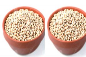 Cowpea