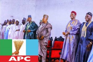 Borno APC adopts consensus for ward congresses