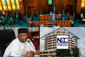 Independent National Electoral Commission, Professor Yakubu Mahmood,