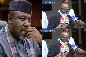 Okorocha acted like an emperor, acquired properties for himself, family