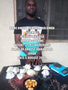 latest news, NDLEA recovers 8,268kg of cocaine, heroin, skunk in raids across 7 states, intercepts assorted drugs bound for Europe