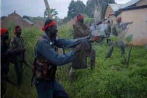 Bandits kill 20 persons in reprisal attack in Magami, Niger State