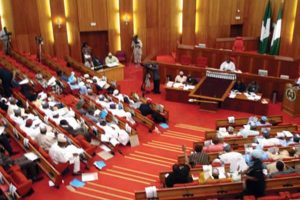 Latest Breaking News About Chike Akunyili : Senate Condemns Chike Akunyili's murder