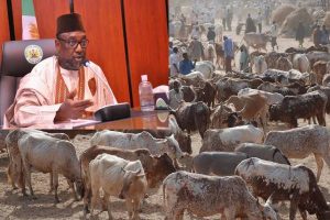 Latest news in Nigeria is that Niger suspends cattle markets, bans sale of fuel in jerrycans
