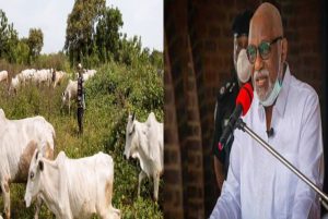 naija news happening now, Akeredolu on ranching system