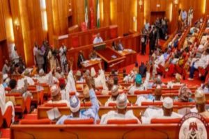 Electoral Act: Senate set to debate court ruling on contentious clause 84 (12)