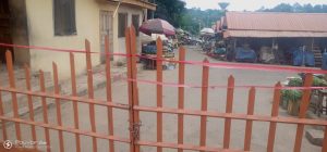 Latest news about shoprite, NEPA market in Akure, 