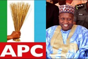 Inuwa Yahaya, a shining light of Nigeria politics - APC Govs