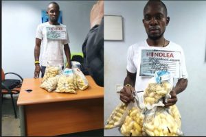 NDLEA intercepts cocaine, suspect at Abuja Airport