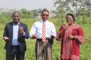 USDA, NABDA, others laud introduction of Biotech Cowpea in Nigeria