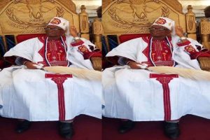 Olowu of Owu, Adegboyega Dosunmu, joins his ancestors