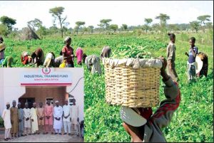 ITF organises two-day training for directors of Agriculture in Sokoto