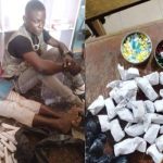 Police arrest two suspected drug dealers in Delta state