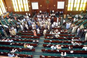 Constitution Amendment: Reps admit Osinbajo’s wife into chambers