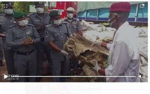 Kebbi Seizure