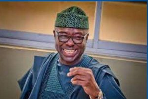 Adebayo on INEC