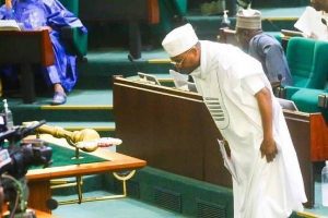 Shina Peller Defects