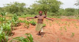  Enugu govt sends 260 young farmers to Nassarawa for agricultural development