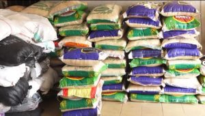 JBPT seizes good worth over N868 million