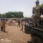 Military raids Tureta forest, recovers dozens of rustled cattle