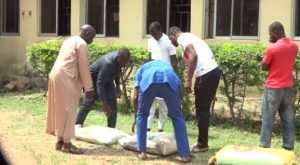 NSCDC parades 7 suspects for various crimes in Benue