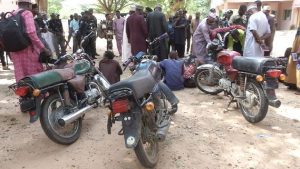  Gombe police arrest suspected cattle rustlers, recover over 500 livestock