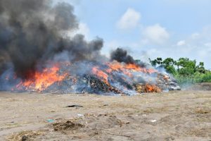  NDLEA destroys over 560,068kg of illicit drugs in landmark exercise in Lagos