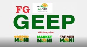 FG begins enumeration of GEEP beneficiaries in Imo State