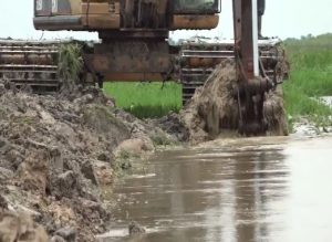  Yobe communities laud govt effort in removing stubborn shrubs impeding farming, fishing 