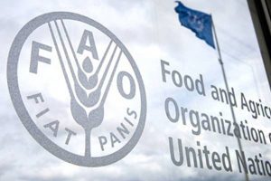 National Foods Standards