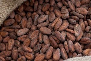 Group on Cocoa