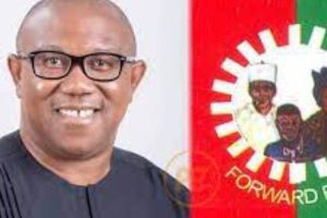 LP PCC ON Soludo