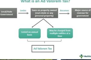 Expert on Revenue