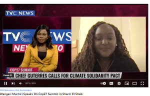 Expert on COP 27