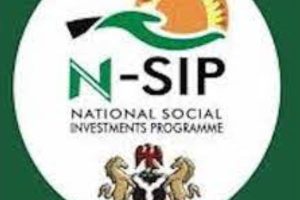 Senate on NSIP