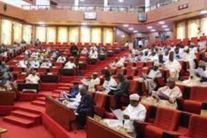 Senate on Cashless policy