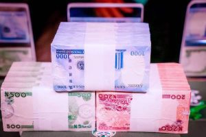 EXPERT ON NEW NAIRA NOTES