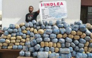 NDLEA intercepts Colorado, Cannabis Juice at Lagos Airport, Seaport